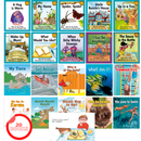 Sunshine Books Level 4 Book Pack(20 books)