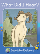 What Did I Hear? (Decodable Explorers Fiction A-Skill Set 8)