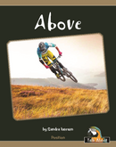 TA - Position: Above