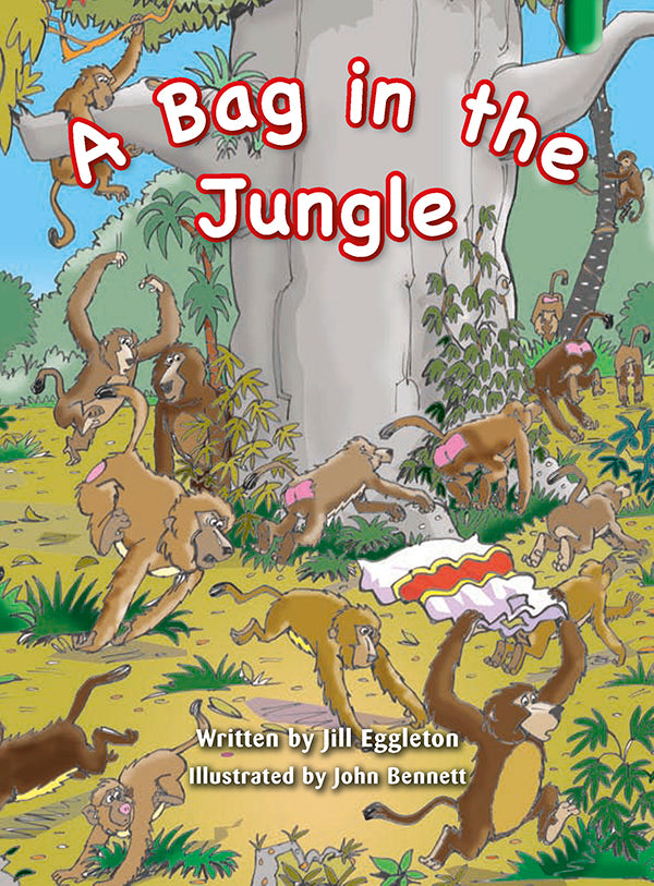 Key Links Green Book 11, Level 13: A Bag in the Jungle