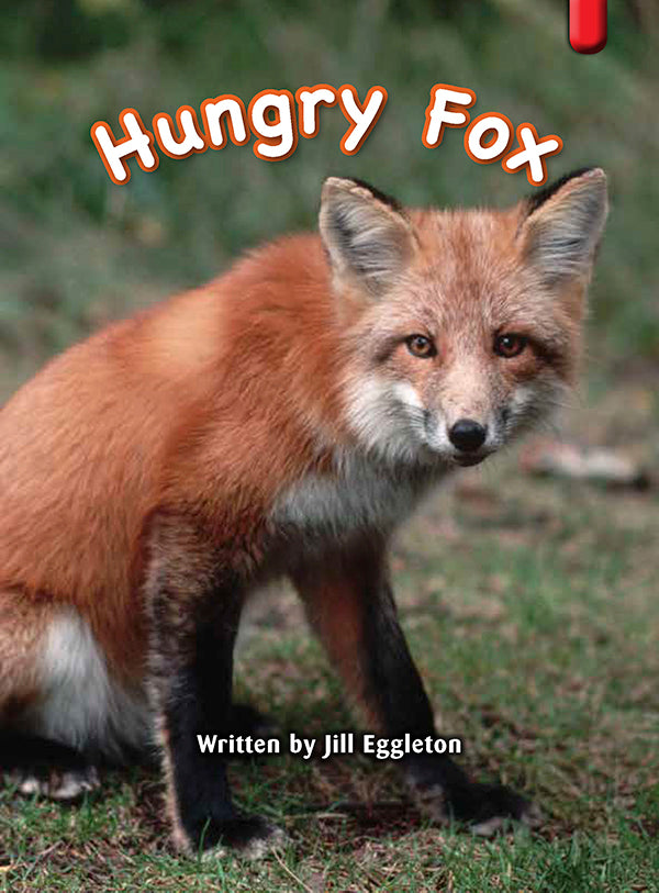 Key Links Red (Book 13, Level 4): Hungry Fox