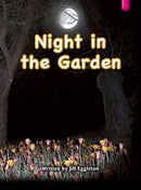 Key Links Magenta (Book 13, Level 2): Night in the Garden