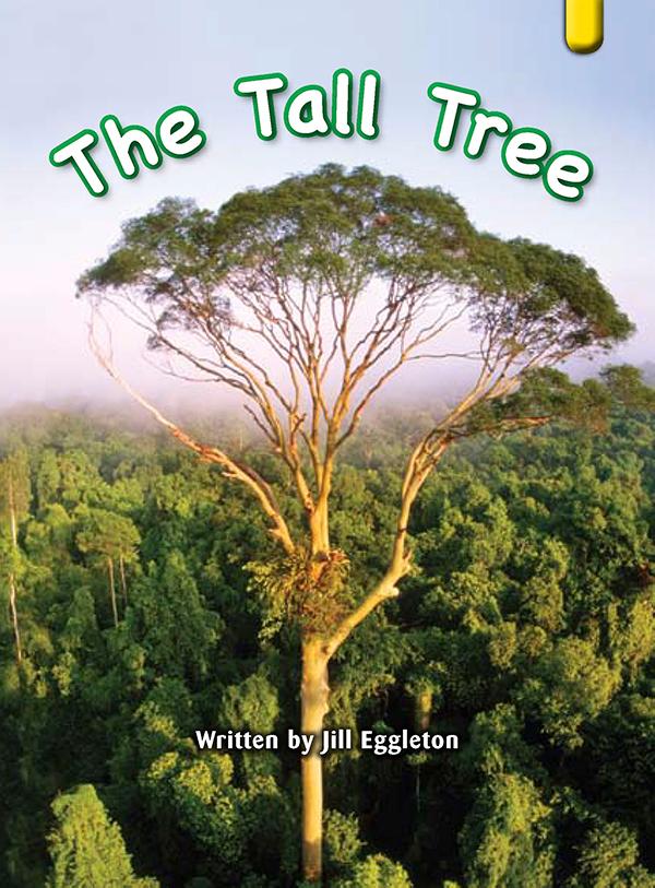 Key Links Yellow Book 13, Level 7: The Tall Tree