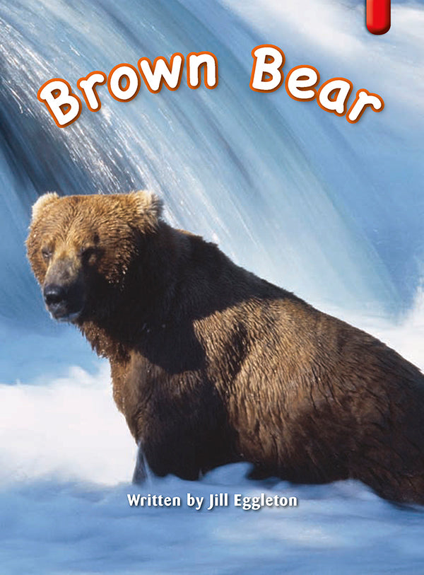 Key Links Red (Book 14, Level 4): Brown Bear