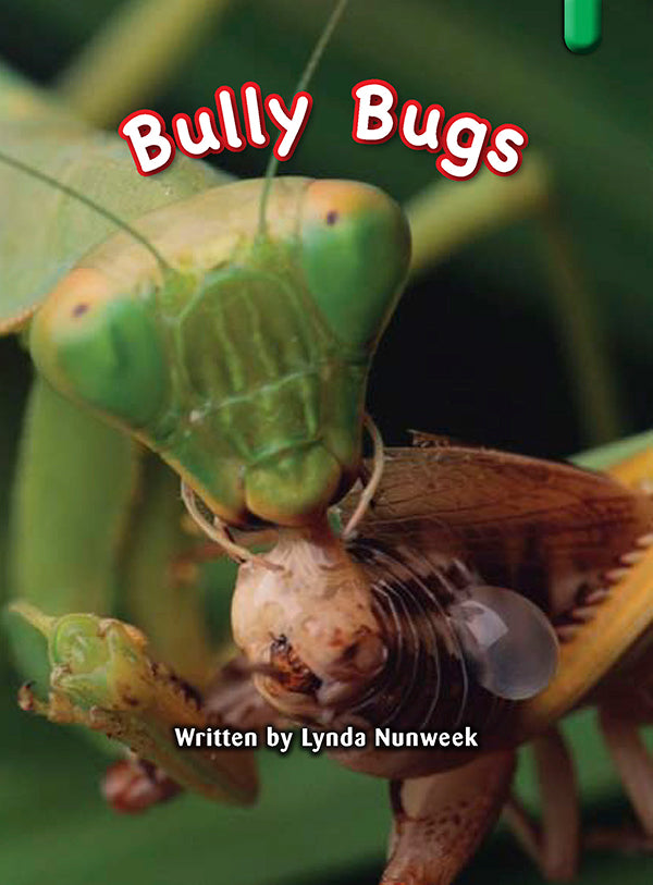 Key Links Green Book 14, Level 13: Bully Bugs