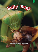 Key Links Green Book 14, Level 13: Bully Bugs