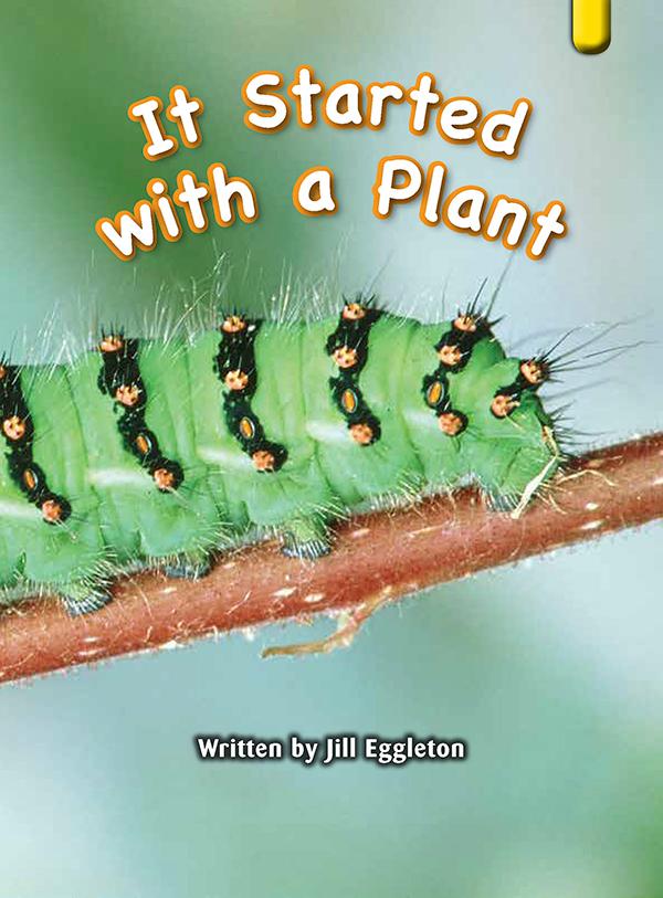 Key Links Yellow Book 14, Level 7: It Started With a Plant