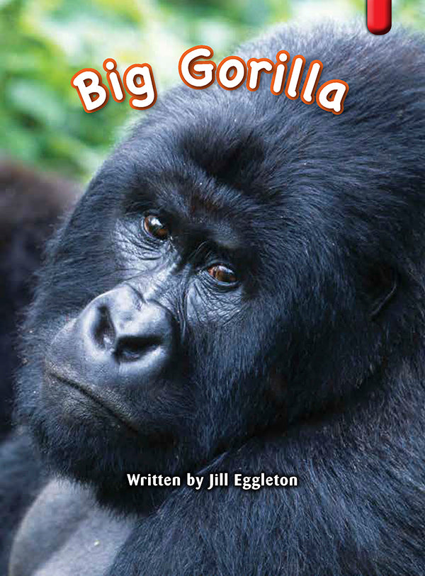 Key Links Red (Book 15, Level 4): Big Gorilla