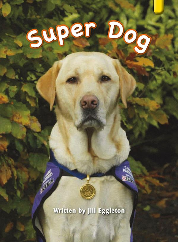 Key Links Yellow Book 15, Level 7: Super Dog
