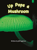 Key Links Green Book 15, Level 13: Up Pops a Mushroom