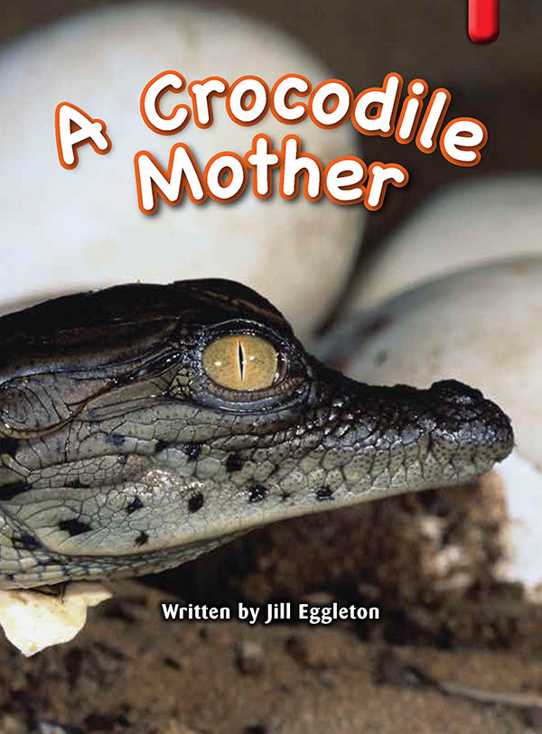 Key Links Red (Book 16, Level 4): A Crocodile Mother