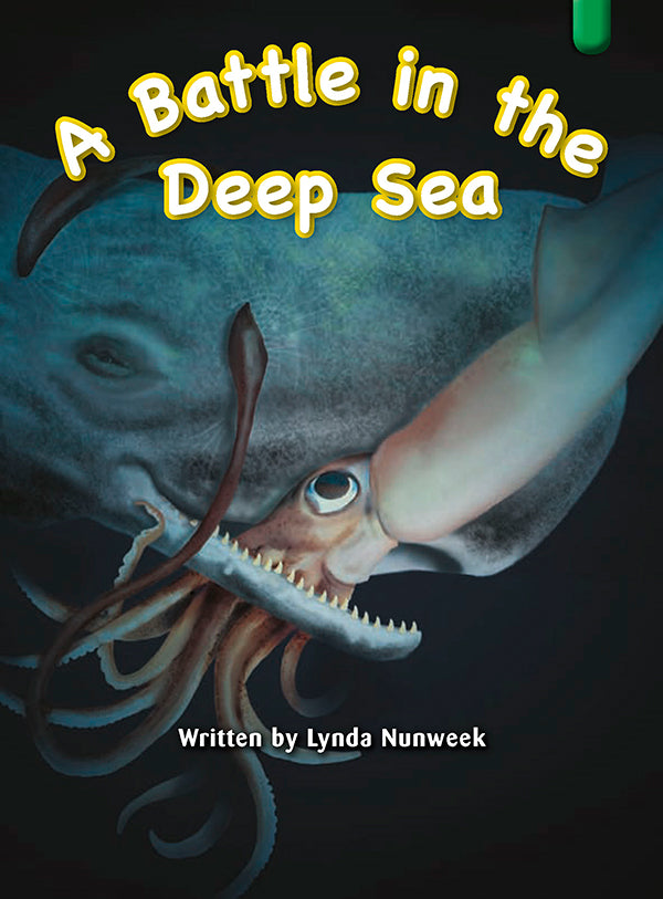 Key Links Green Book 21, Level 14: A Battle in the Deep Sea