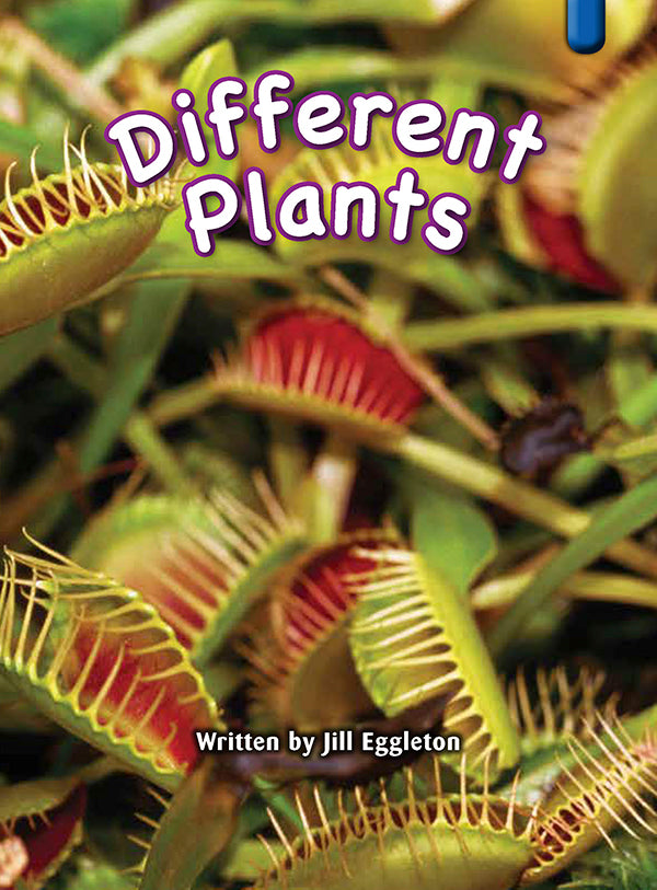 Key Links Blue Book 22, Level 11: Different Plants