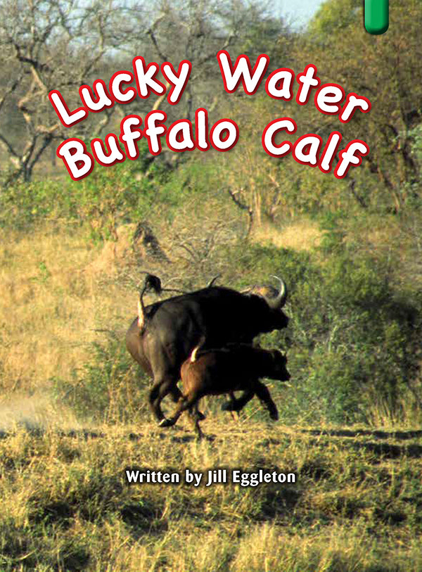 Key Links Green Book 22, Level 14: Lucky Water Buffalo Calf