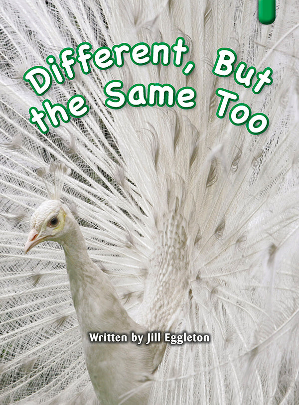 Key Links Green Book 23, Level 14: Different, But the Same Too