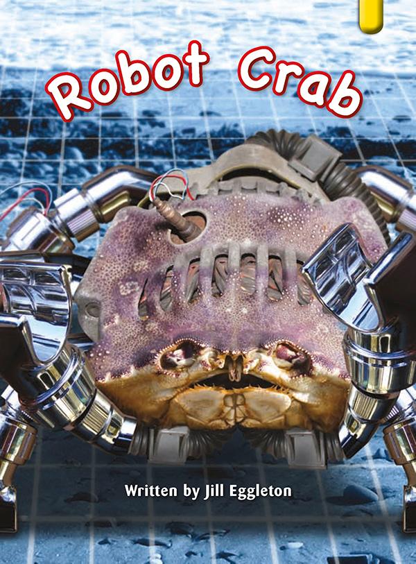 Key Links Yellow Book 23, Level 8: Robot Crab