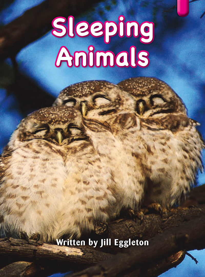 Key Links Magenta (Book 4, Level 1): Sleeping Animals