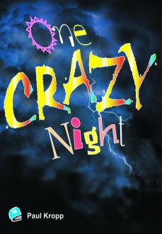 One Crazy Night