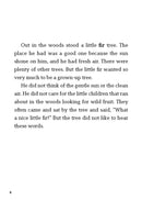 EF Classic Readers Level 5, Book 4: The Fir Tree