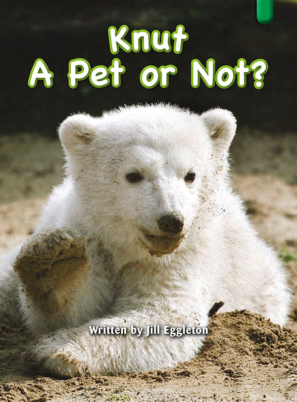 Key Links Green Book 5, Level 12: Knut A Pet or Not?