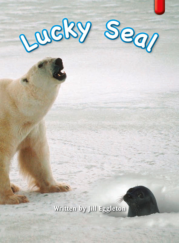 Key Links Red (Book 5, Level 3): Lucky Seal