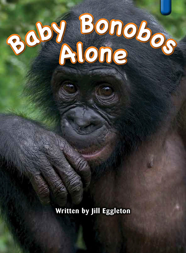 Key Links Blue Book 5, Level 9: Baby Bonobos Alone