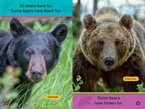 National Geographic Kids Readers: All About Bears (PB)