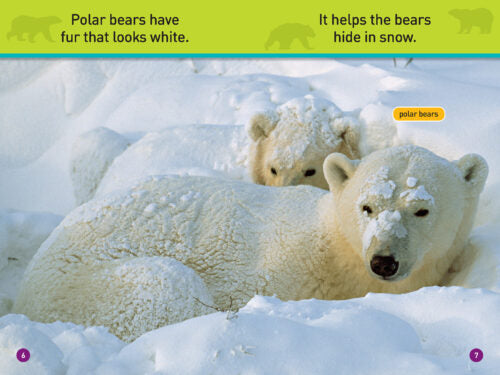 National Geographic Kids Readers: All About Bears (PB)