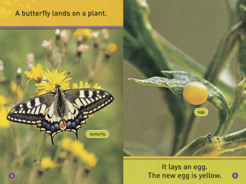 National Geographic Kids Readers: Flutter, Butterfly!(PB)