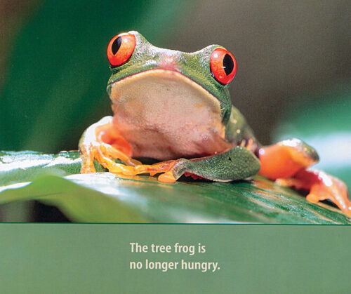 Red-Eyed Tree Frog(GR Level I)