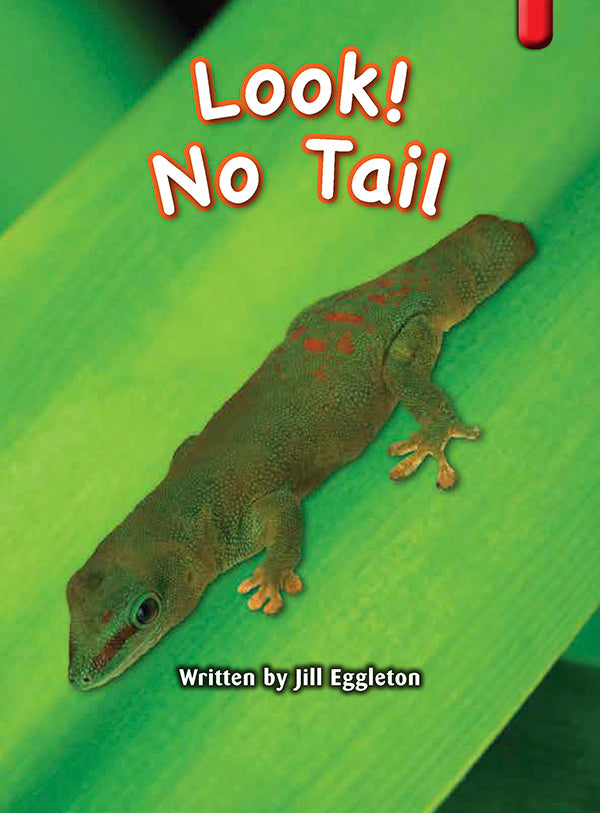 Key Links Red (Book 6, Level 3): Look! No Tail