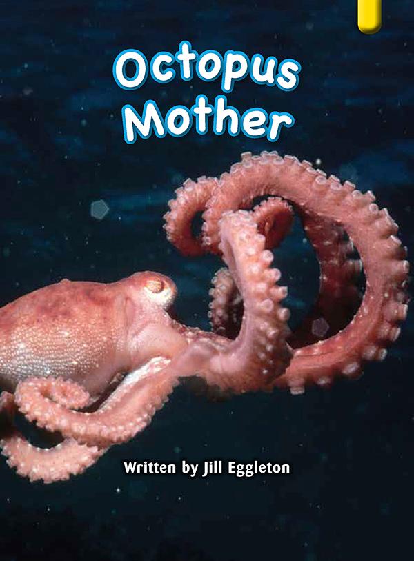 Key Links Yellow Book 6, Level 6: Octopus Mother