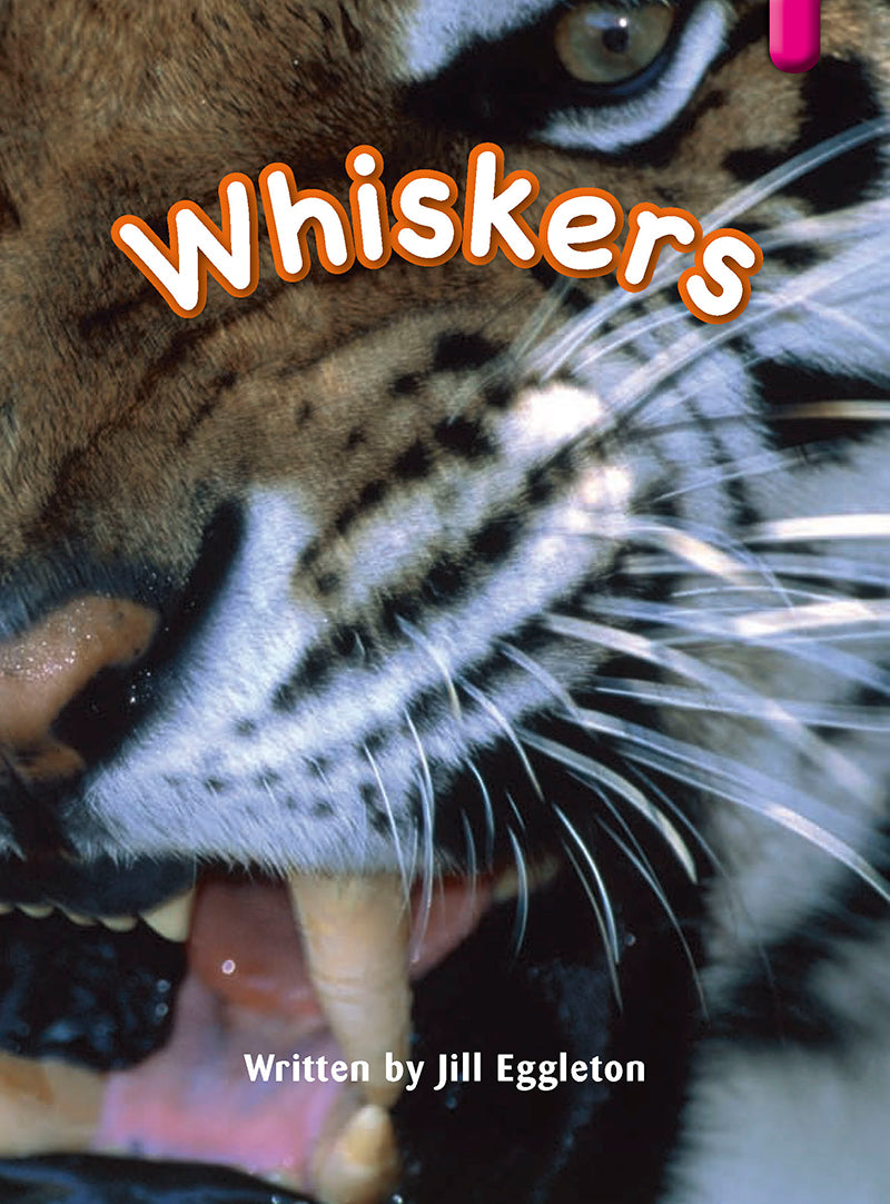 Key Links Magenta (Book 7, Level 1): Whiskers