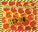 WHAT DO INSECTS DO? (EMERGENT READER Big Book)