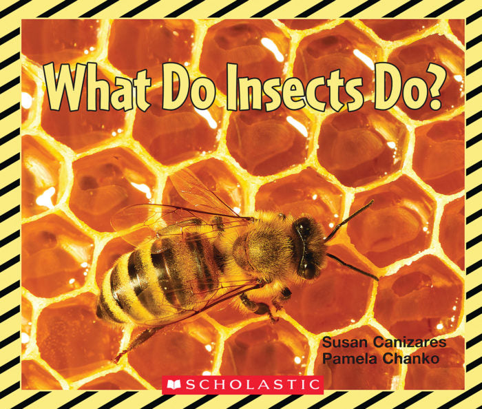 WHAT DO INSECTS DO? (EMERGENT READER Big Book)