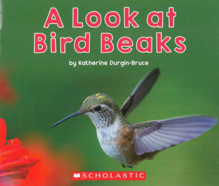 A Look at Bird Beaks(GR Level H)