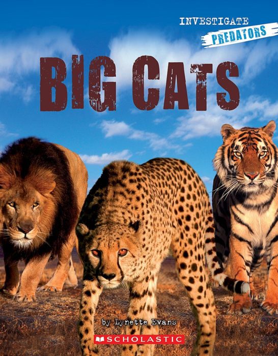 Big Cats (GR Level J)