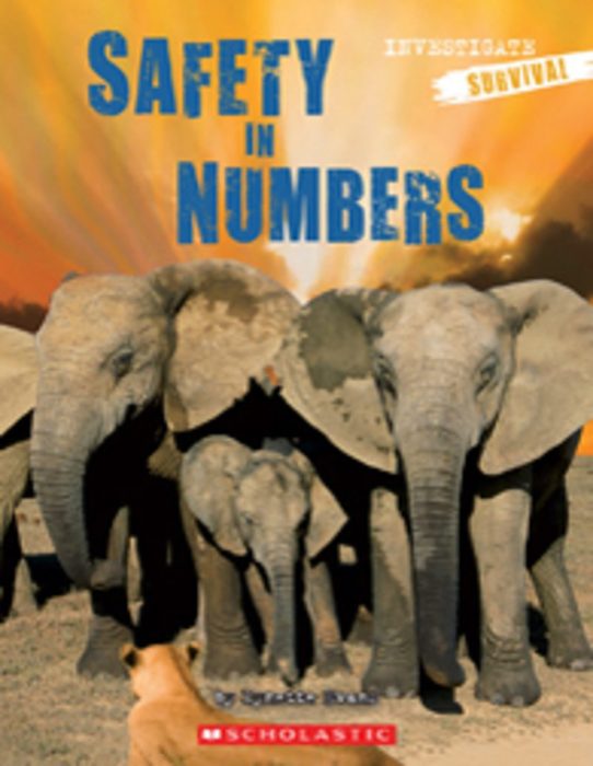 Safety in Numbers (GR Level J)