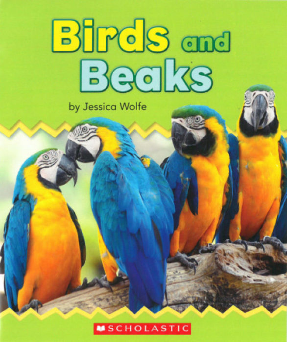 Birds and Beaks(GR Level C)