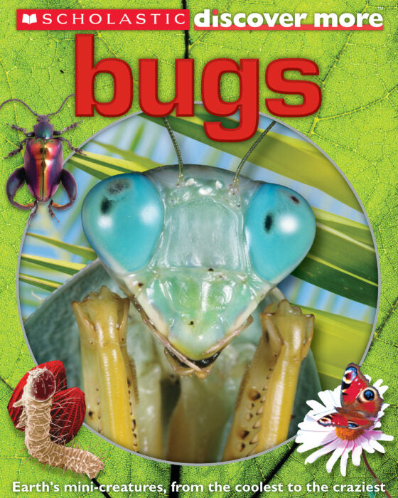 Scholastic Discover More: Bugs(GR Level Q)