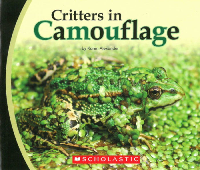 Critters in Camouflage(GR Level I)