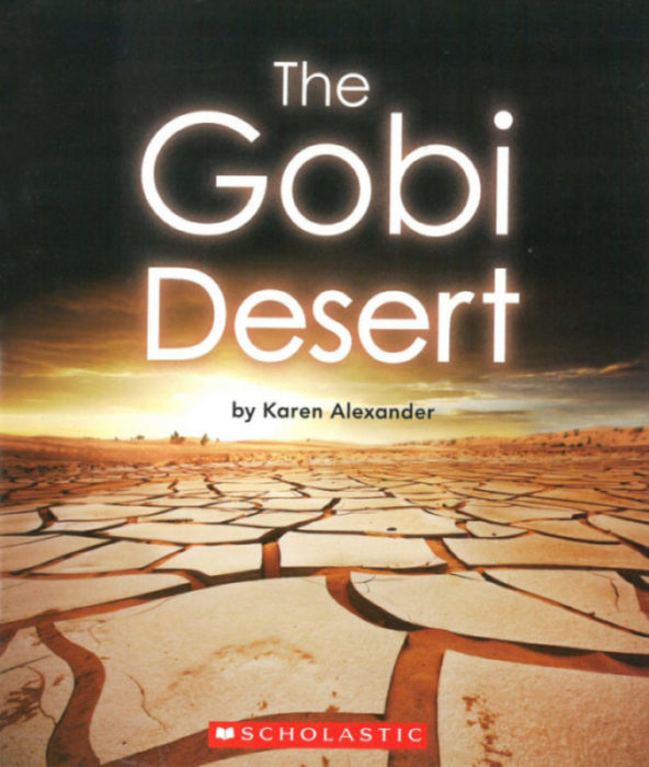 The Gobi Desert(GR Level I)