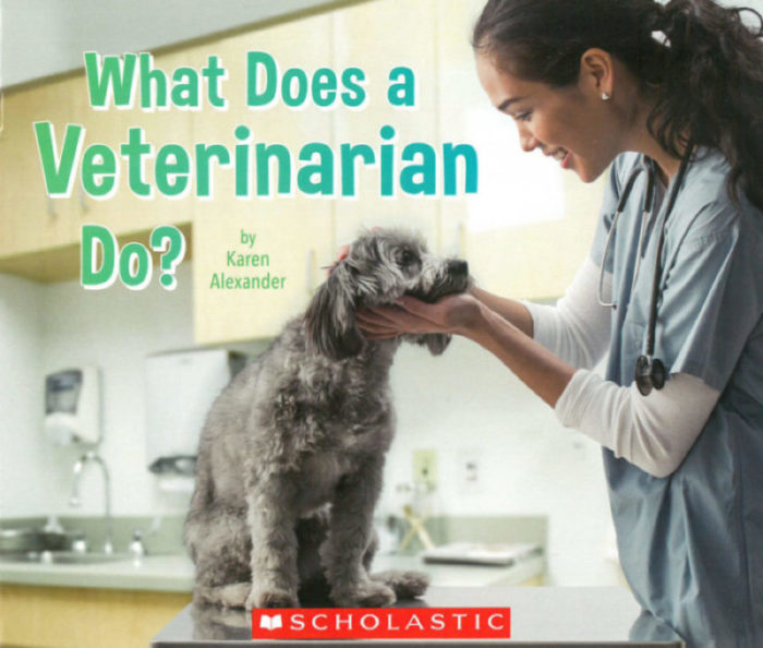 What Does a Veterinarian Do?(GR Level J)