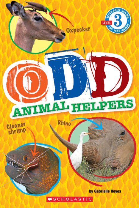 Odd Animal Helpers(GR Level N)