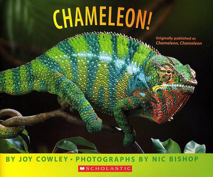 Chameleon!(GR Level J)