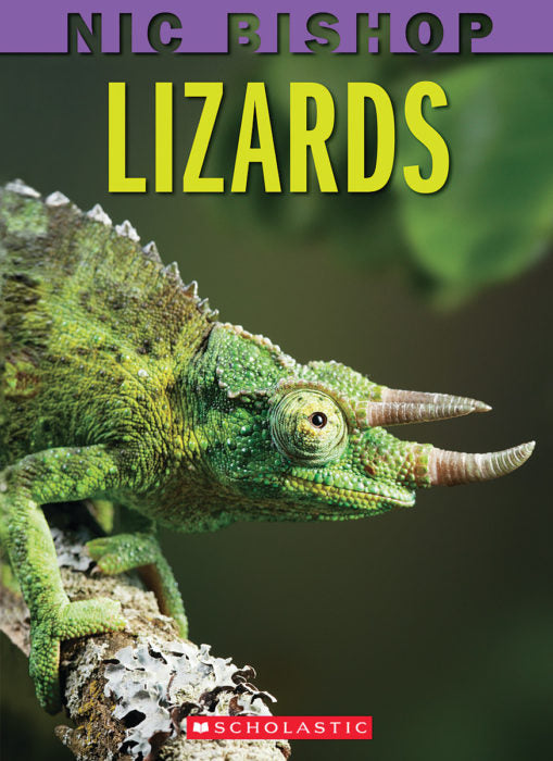 Lizards(GR Level S)
