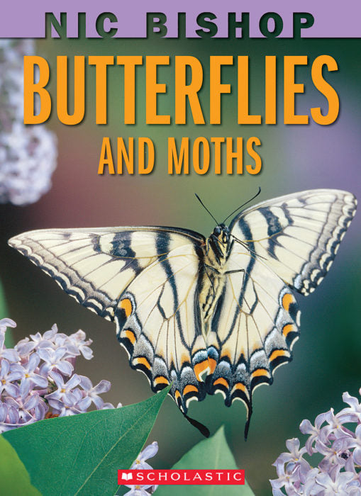 Butterflies and Moths(GR Level S)