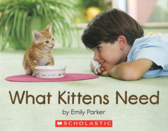 What Kittens Need(GR Level D)
