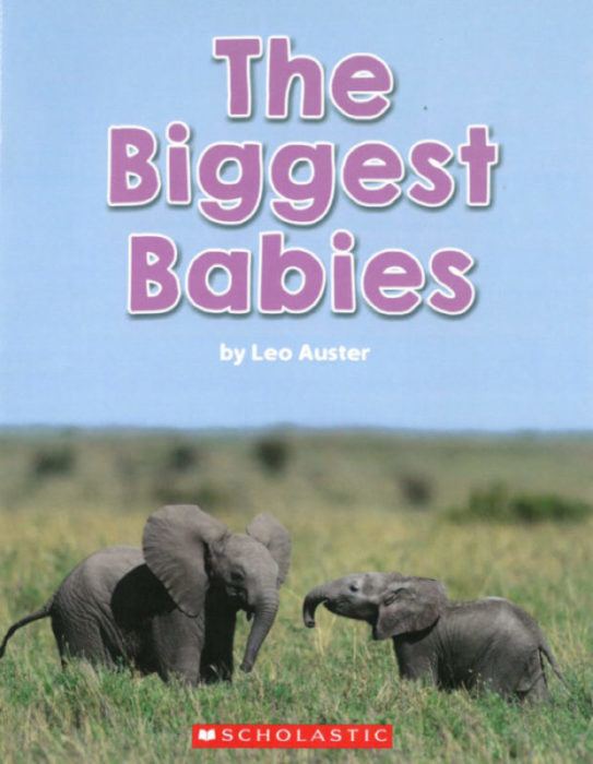 The Biggest Babies (GR Level K)