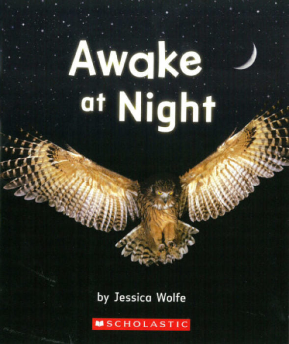 Awake at Night(GR Level E)